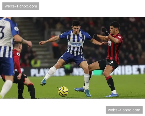 伤病潮下的坚守：布莱顿如何用青训球员应对密集赛程